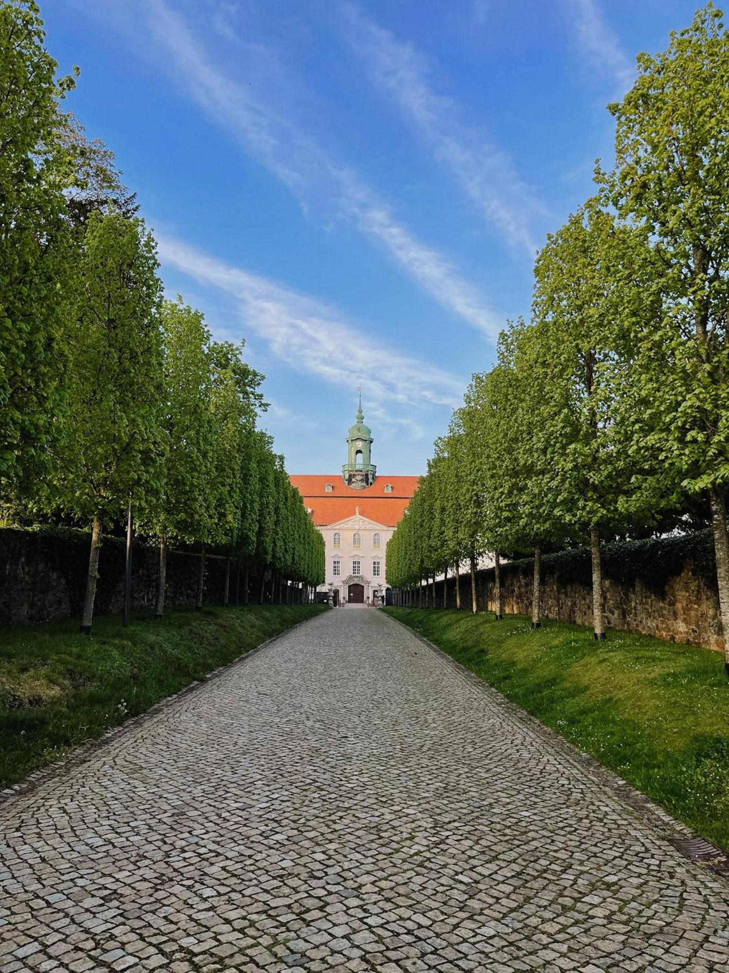 Ferienwohnung Tilda Lichtenwalde Экстерьер фото